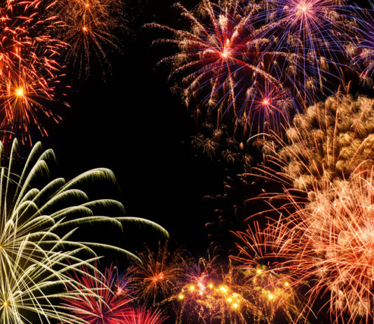 Karin Bäck wünscht Ihnen ein gesundes und erfolgreiches Neues Jahr